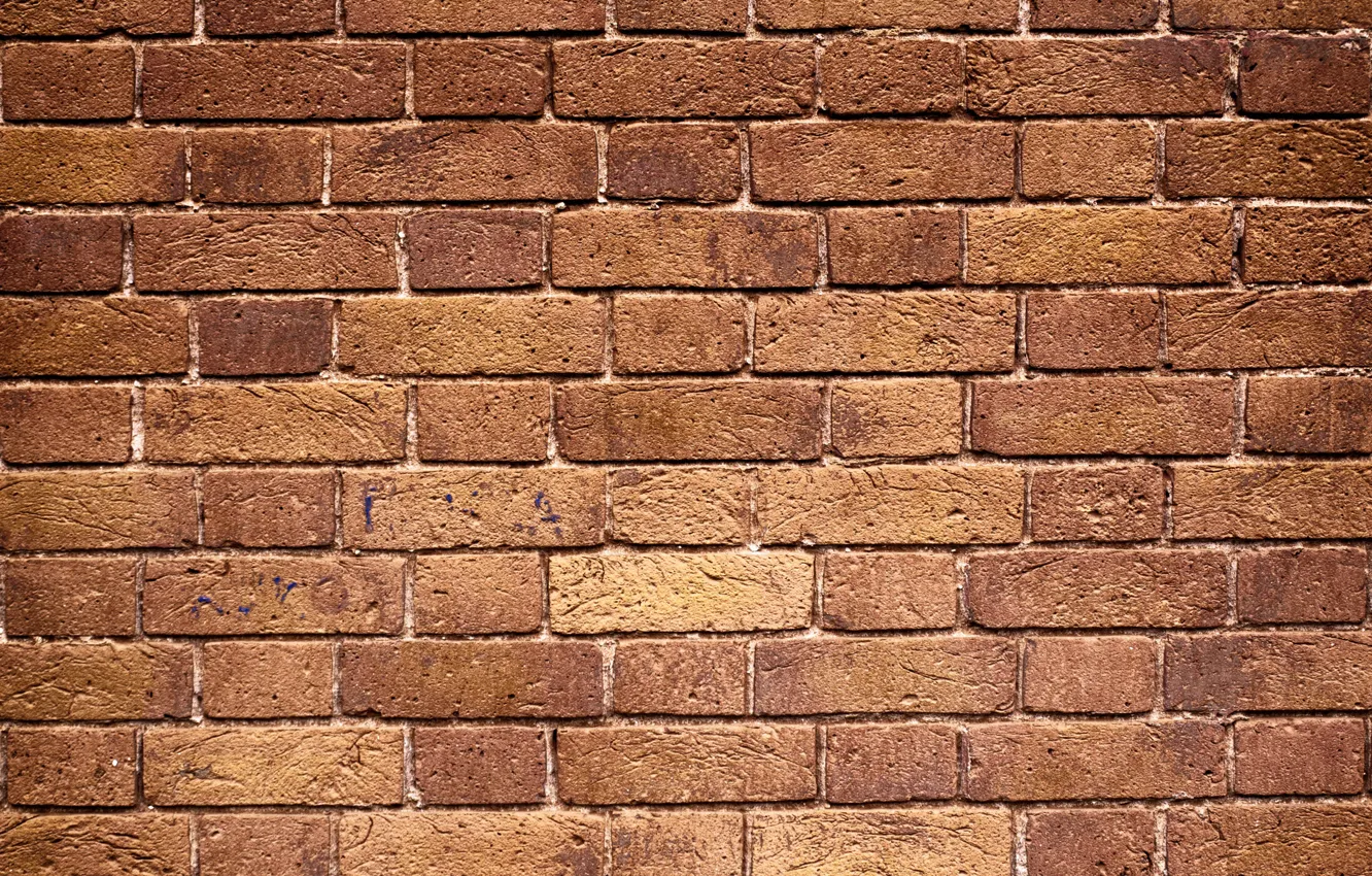 Photo wallpaper wall, pattern, Bricks