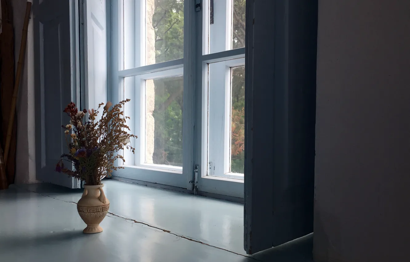 Photo wallpaper flowers, house, window