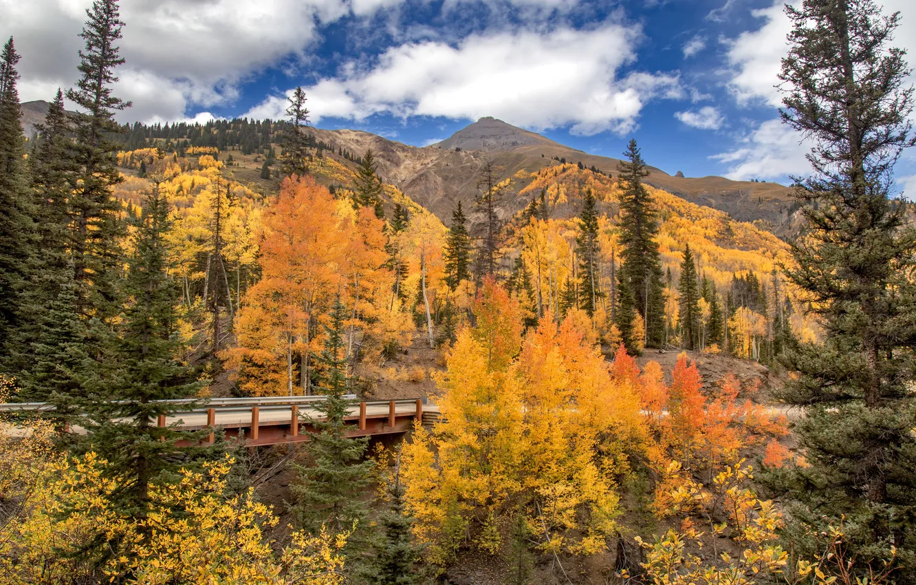 Photo wallpaper autumn, forest, clouds, trees, mountains, bridge, blue, slope