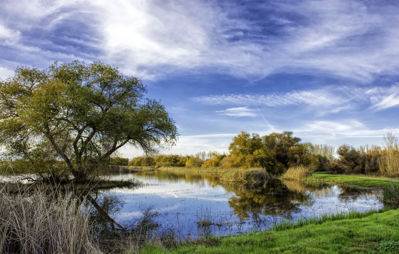 Photo wallpaper autumn, the sky, grass, clouds, trees, lake, pond