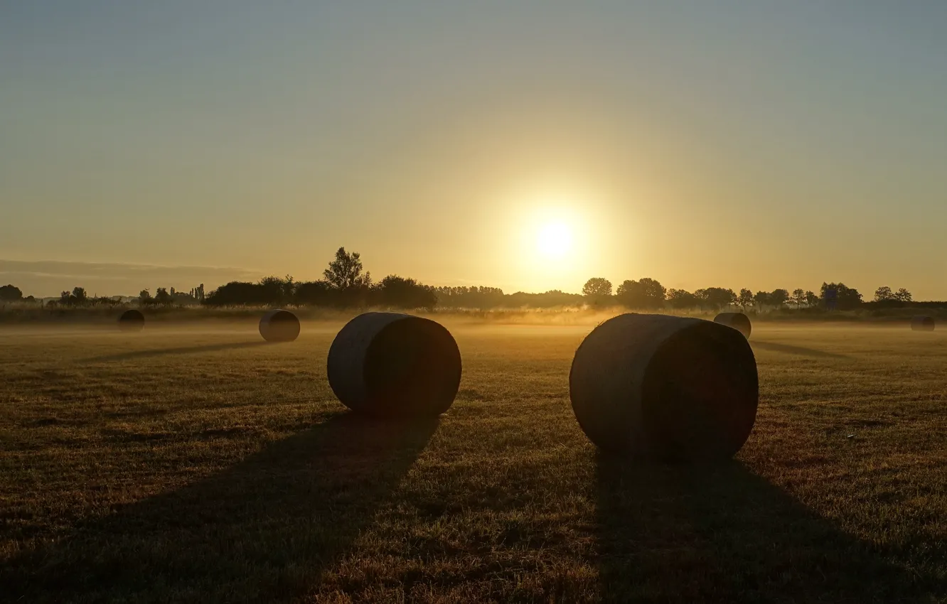 Photo wallpaper field, hay, bales, Kip