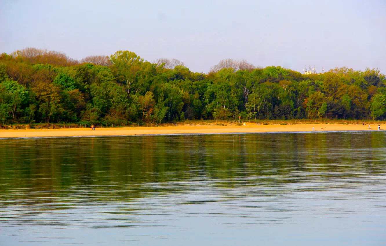 Photo wallpaper beach, trees, sea, water