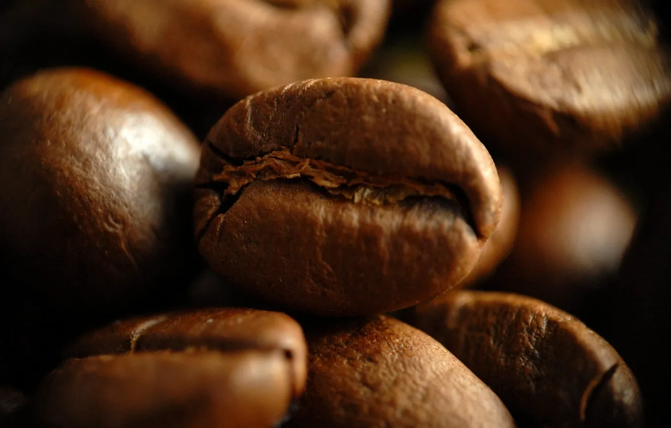 Photo wallpaper cofee, Beans, Yeda
