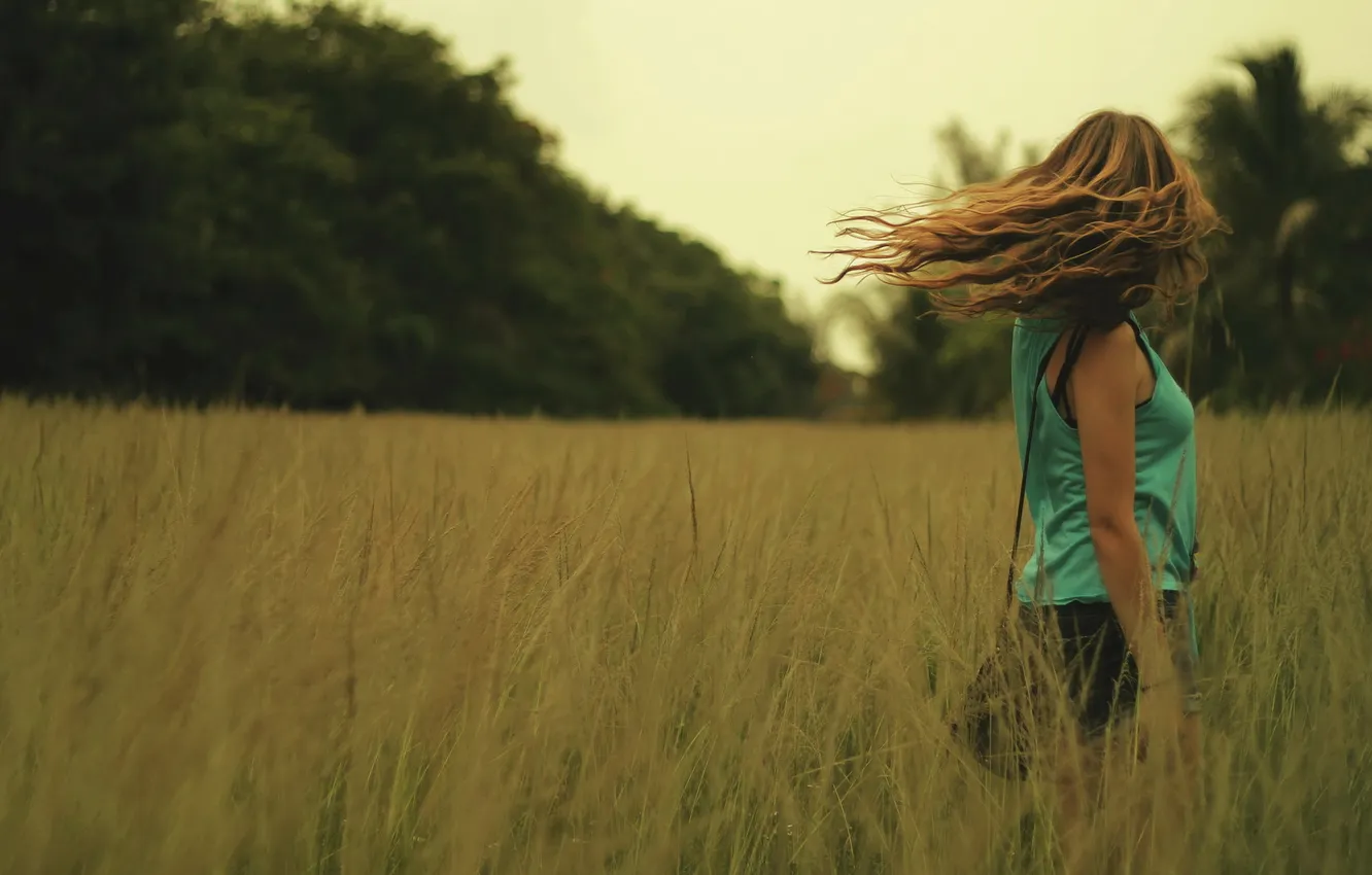 Photo wallpaper field, girl, mood, the evening