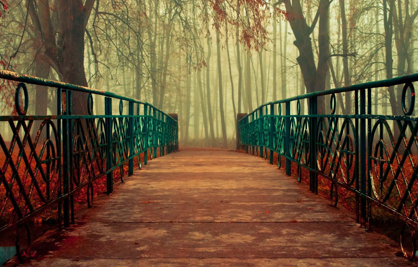 Photo wallpaper autumn, leaves, trees, bridge, nature, handrails