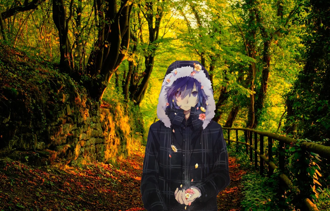 Photo wallpaper Nature, guy, anime art, autumn in the forest, anime guy, anime kun