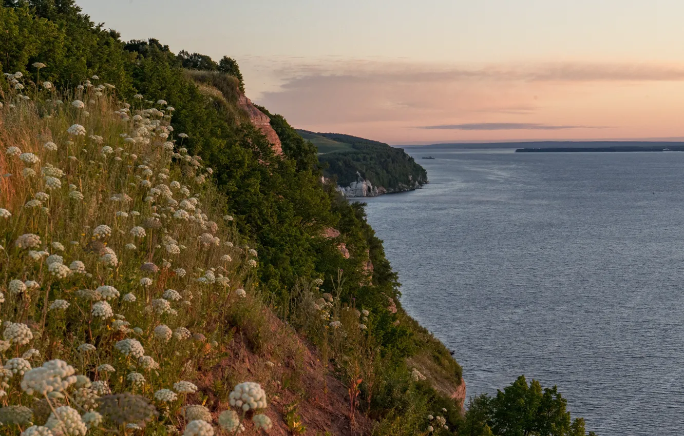 Photo wallpaper sea, grass, landscape, sunset, nature, shore, coast