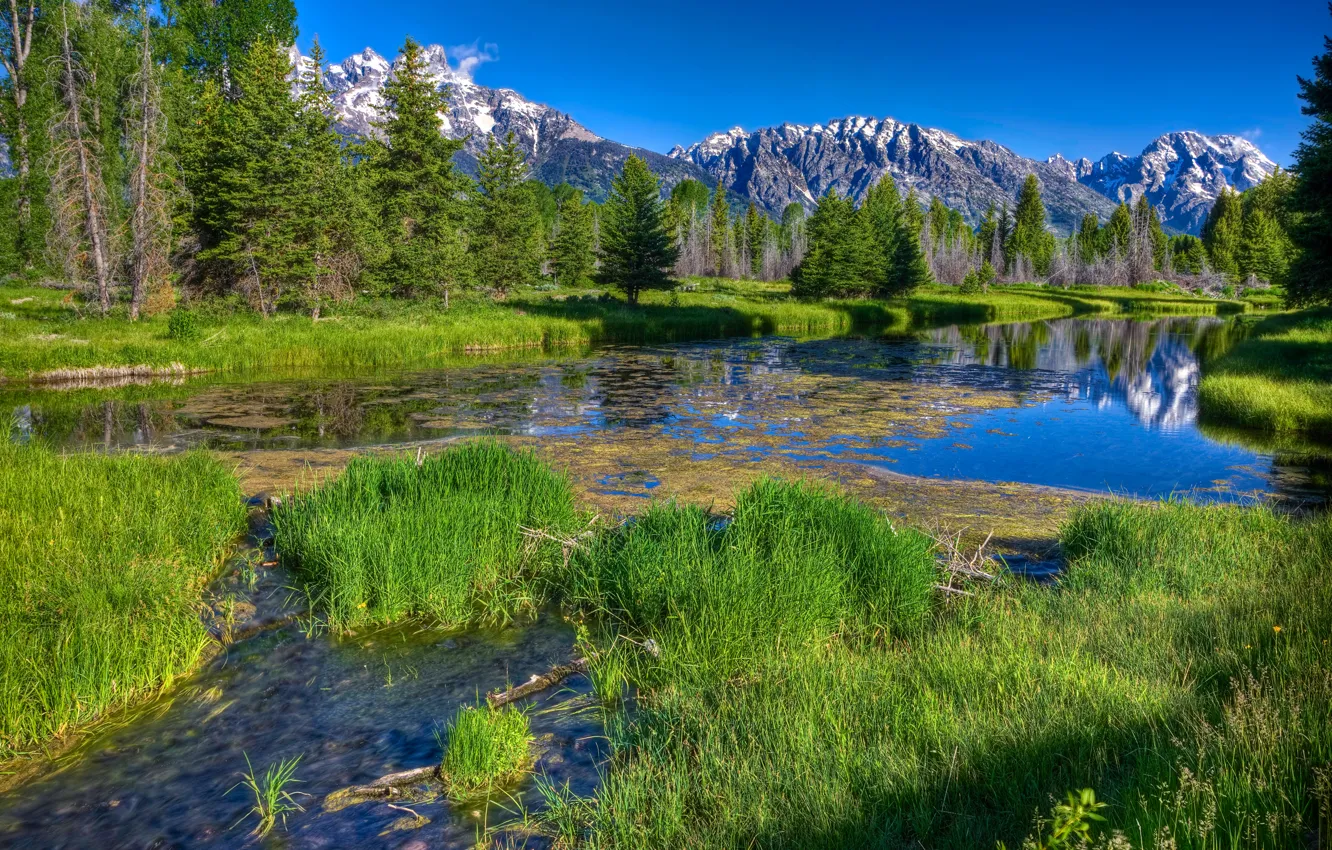 Photo wallpaper forest, the sky, grass, snow, trees, mountains, river, rocks