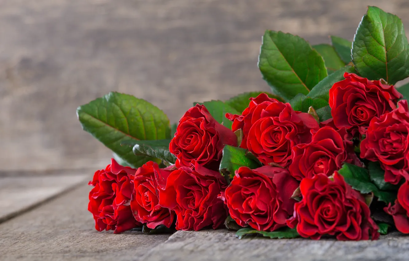 Photo wallpaper table, roses, bouquet, red, Kidsada Manchinda