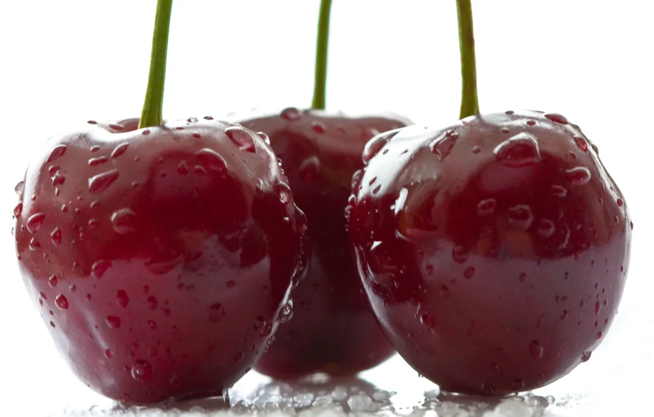 Photo wallpaper water, drops, cherry, Rosa, berries, cherry
