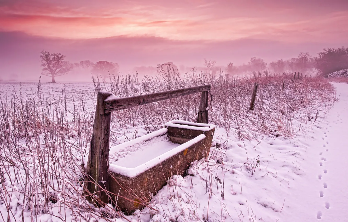 Photo wallpaper winter, field, the sky, grass, snow, paint