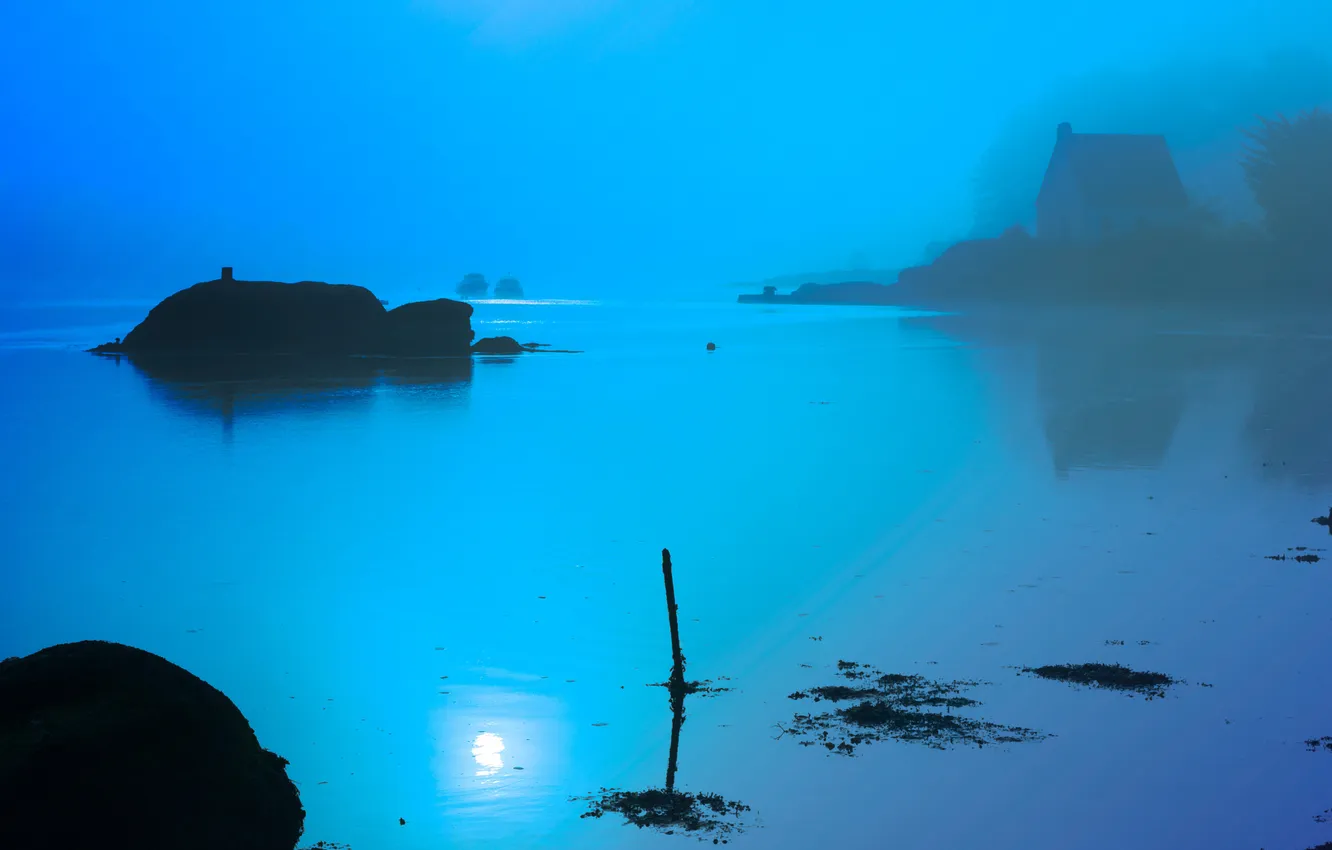 Photo wallpaper fog, lake, morning