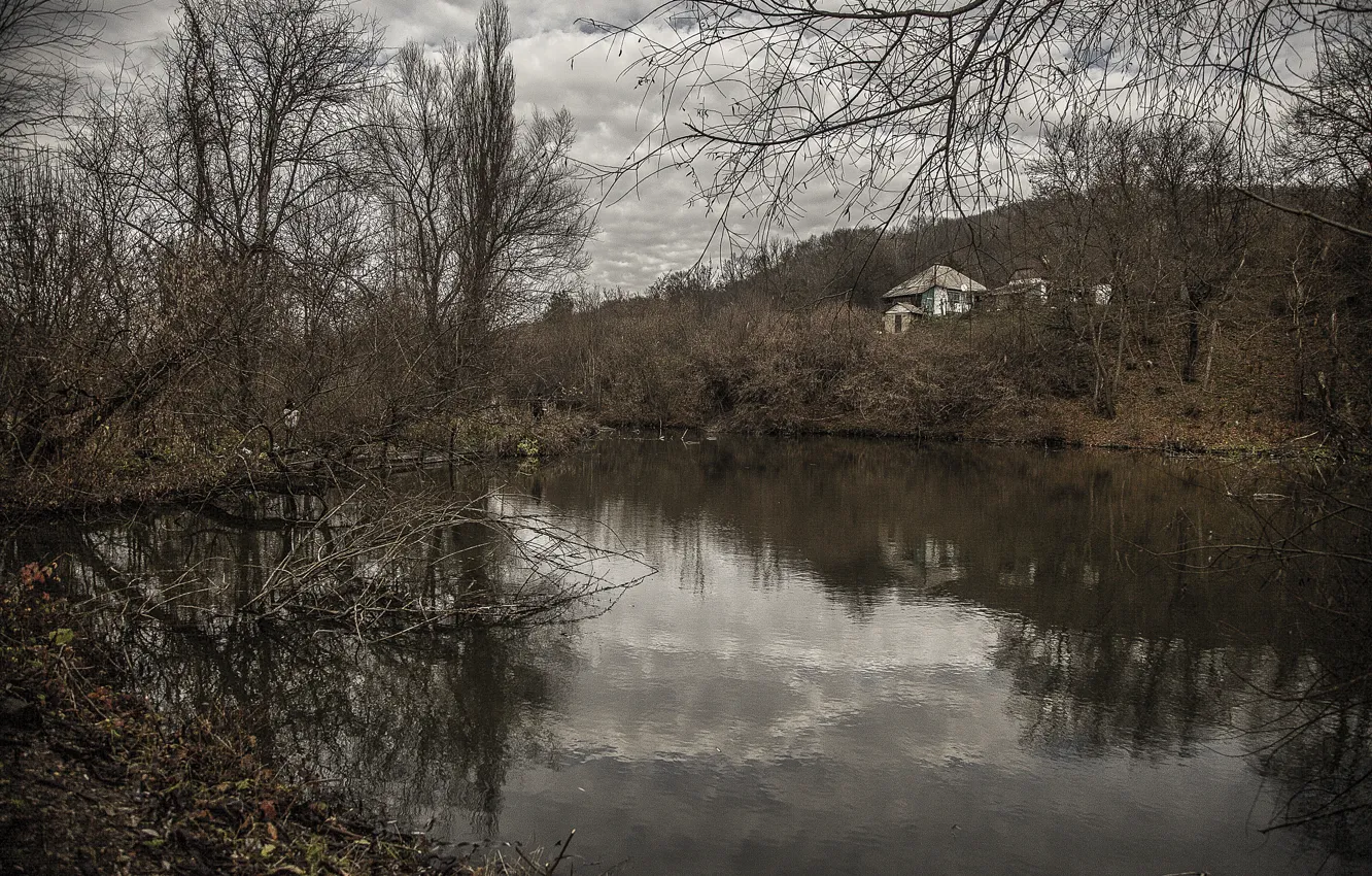 Photo wallpaper forest, water, nature, lake, house