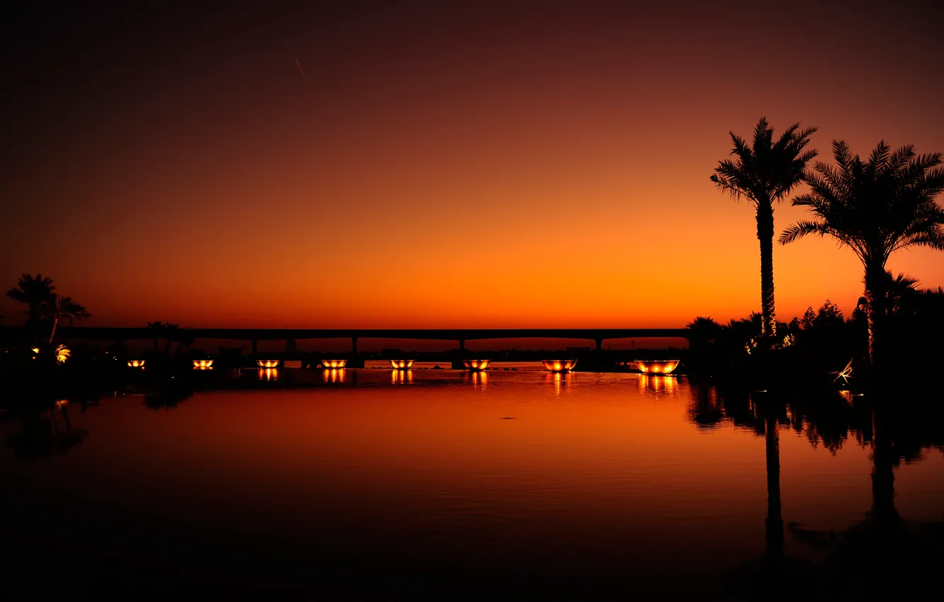 Photo wallpaper water, light, sunset, night, orange, the city, reflection, palm trees