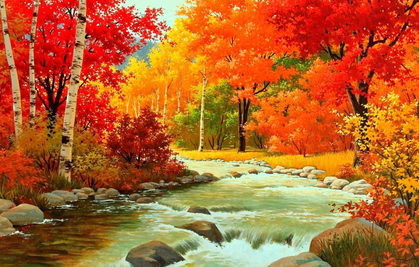 Photo wallpaper forest, stream, Autumn