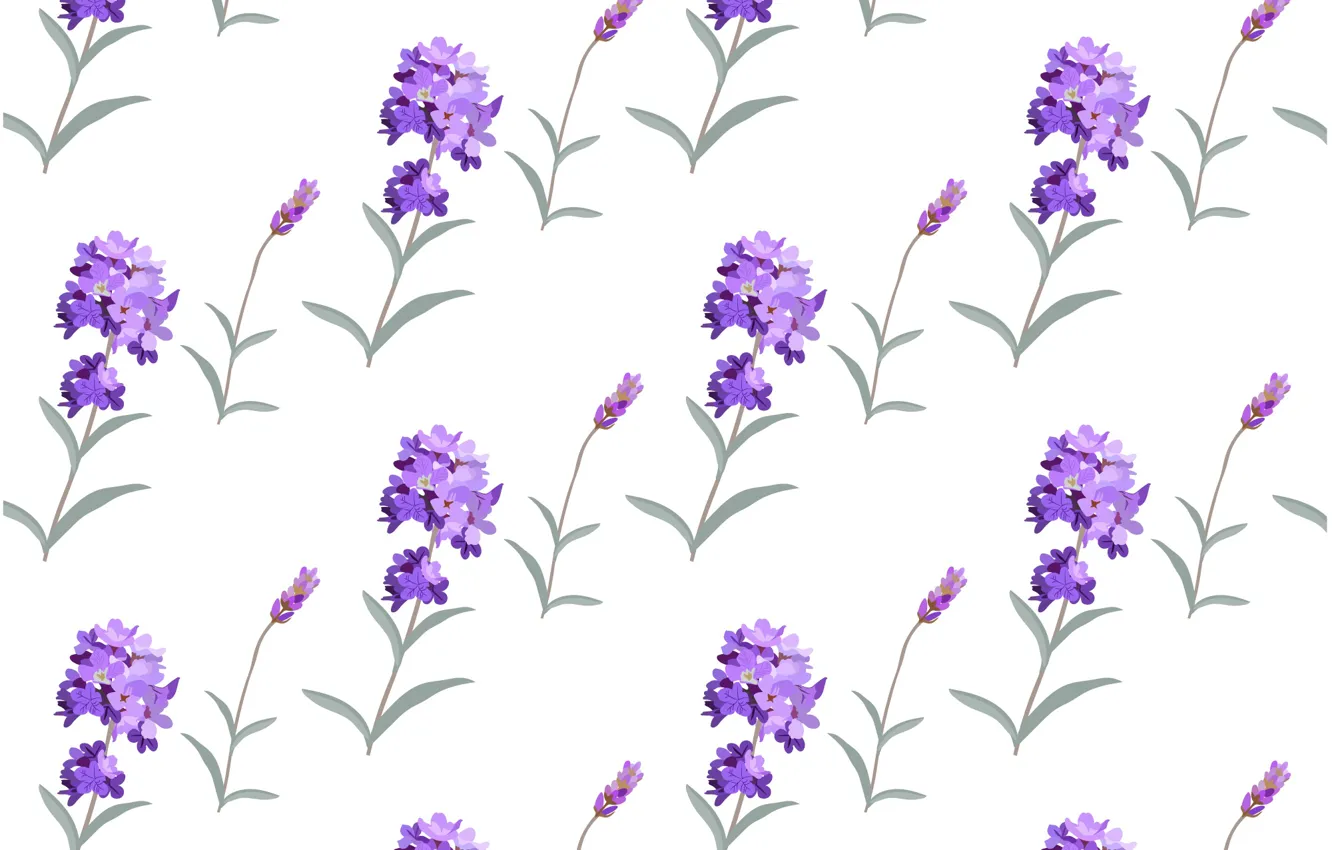 Photo wallpaper white, flowers, background, texture, background, pattern, lavender, Lavender