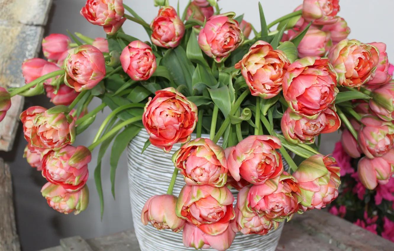 Photo wallpaper Spring, Tulips, Vase