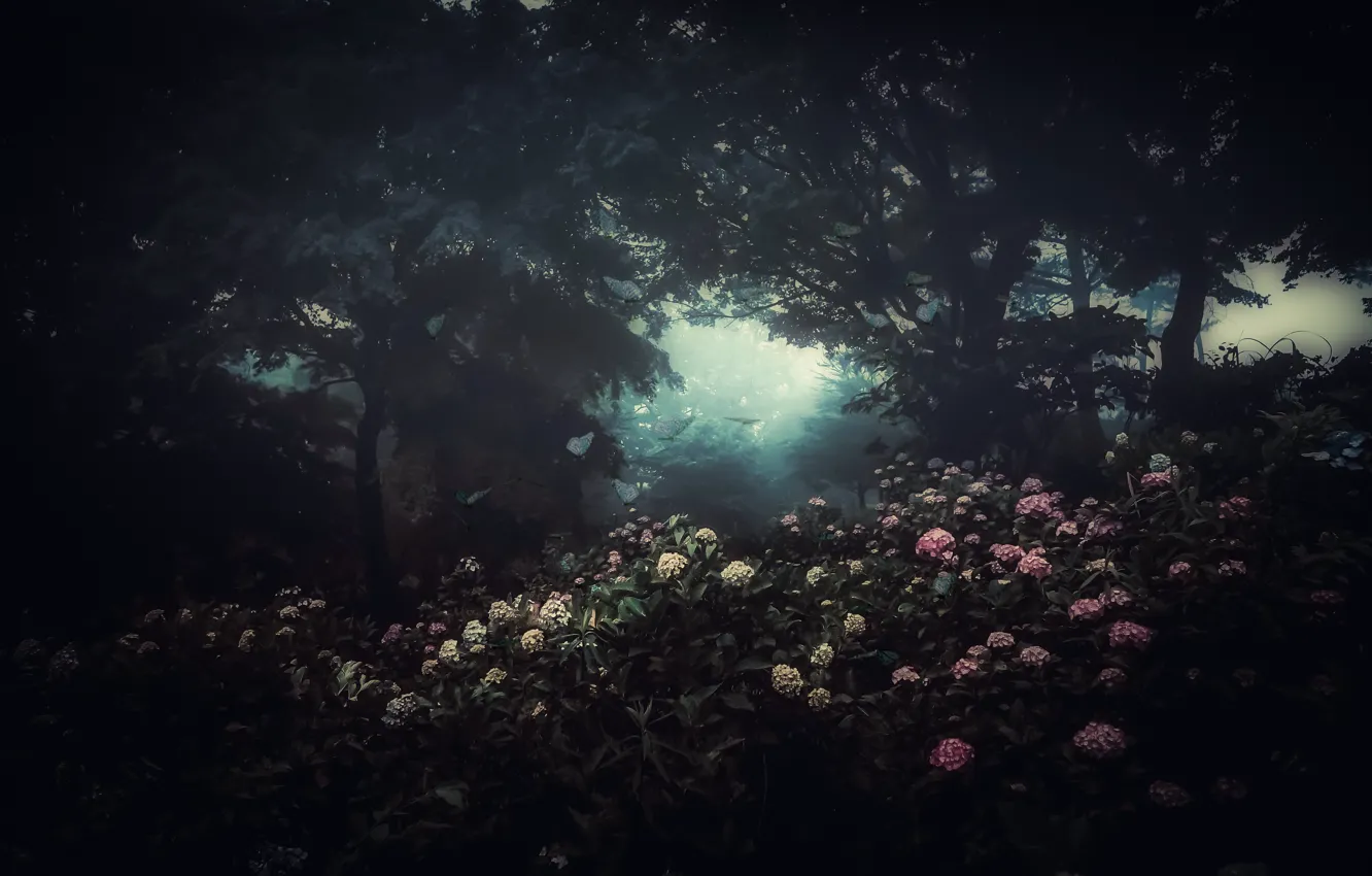 Photo wallpaper flowers, fog, the darkness