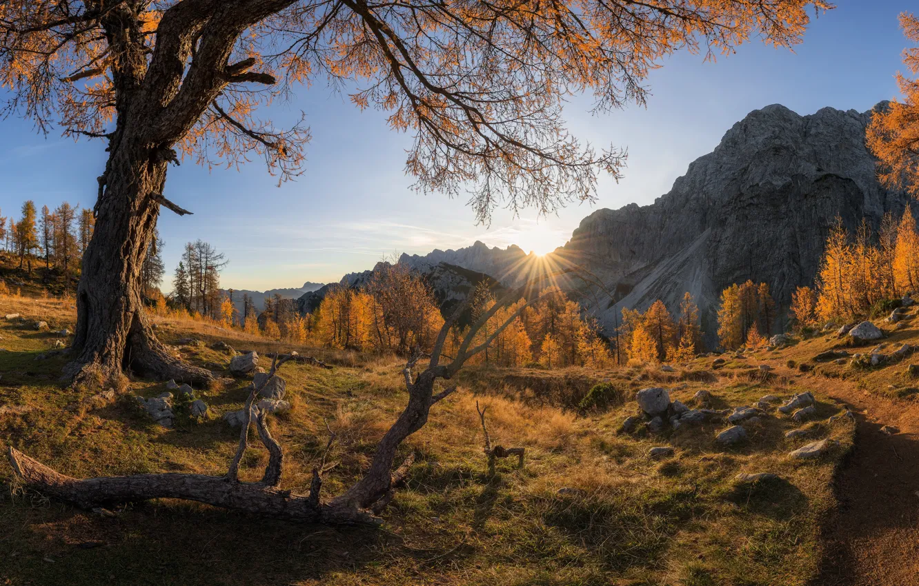 Photo wallpaper autumn, Slemenova spica plateau, Julian Alps mountains
