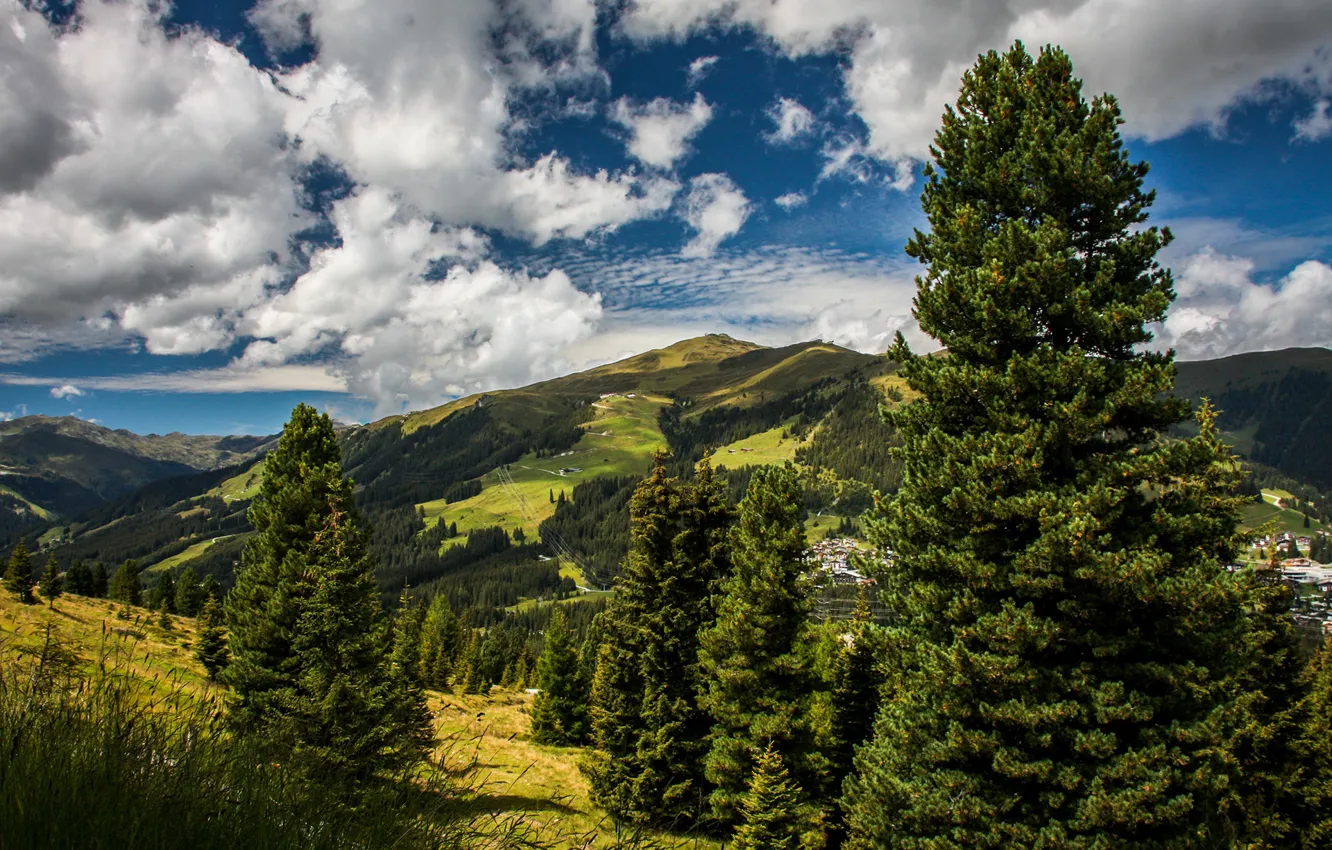 Photo wallpaper greens, summer, the sky, the sun, clouds, trees, mountains, field