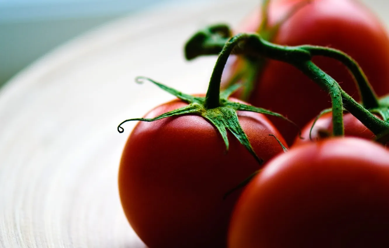 Photo wallpaper macro, food, plate, tomatoes