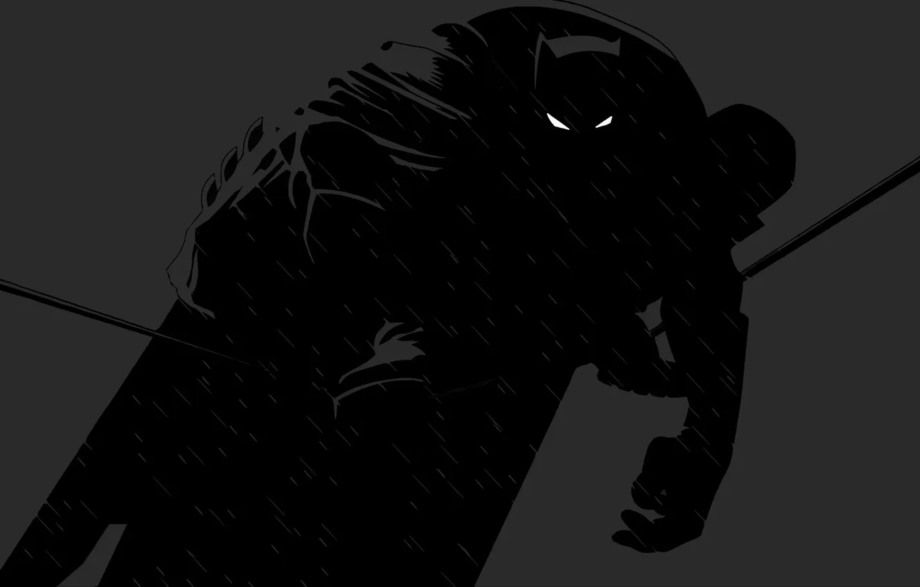 Photo wallpaper shadow, silhouette, Batman