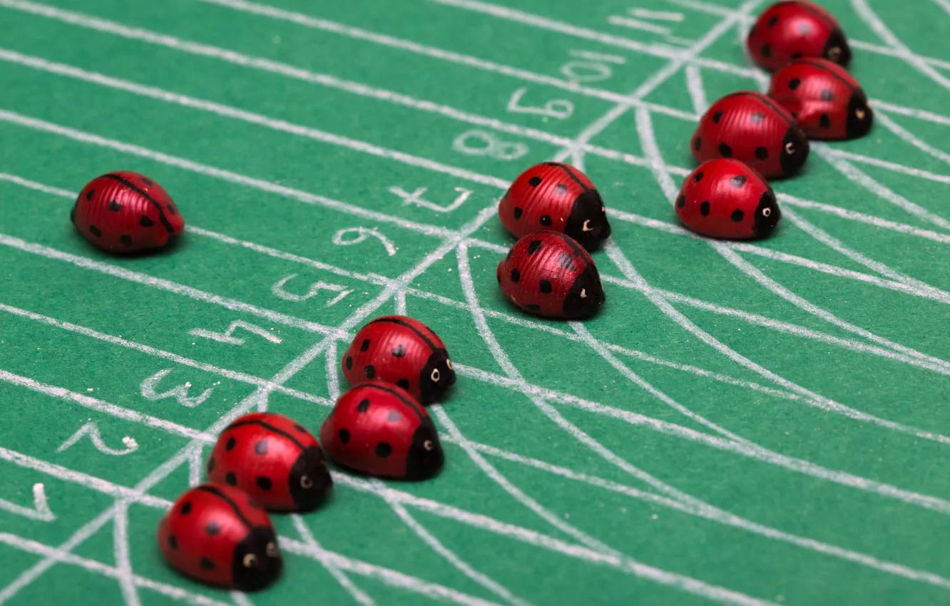 Photo wallpaper the situation, ladybugs, the race