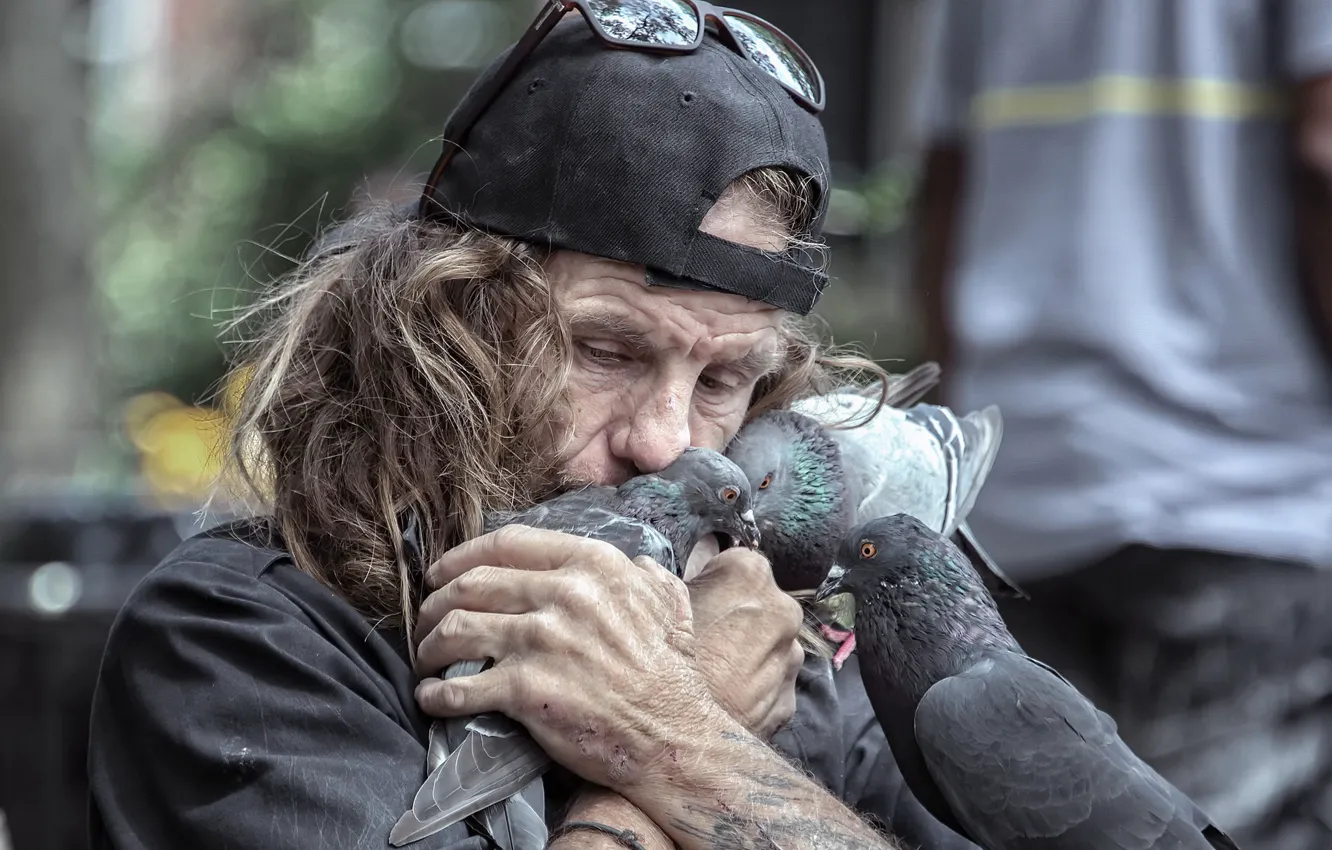 Photo wallpaper bird, people, pigeons