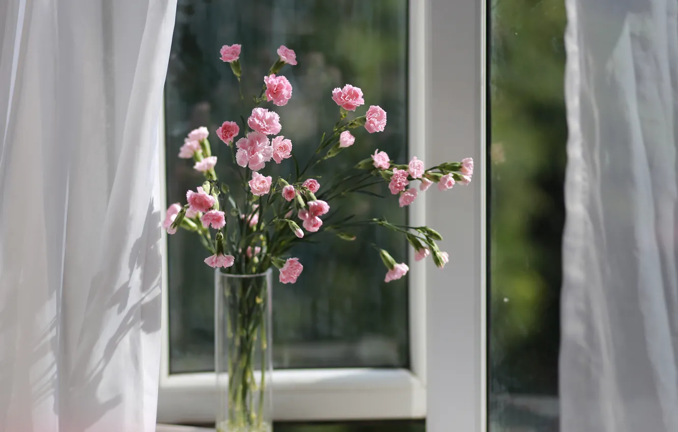 Photo wallpaper bouquet, window, vase, clove