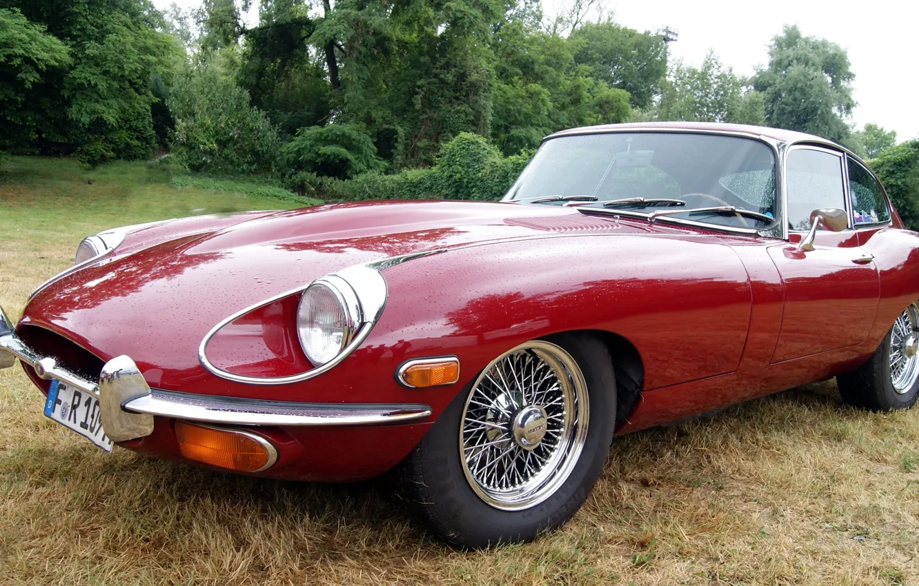 Photo wallpaper car, speed, cool, Jaguar E Type