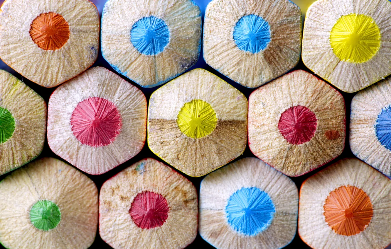 Photo wallpaper macro, color, pencils
