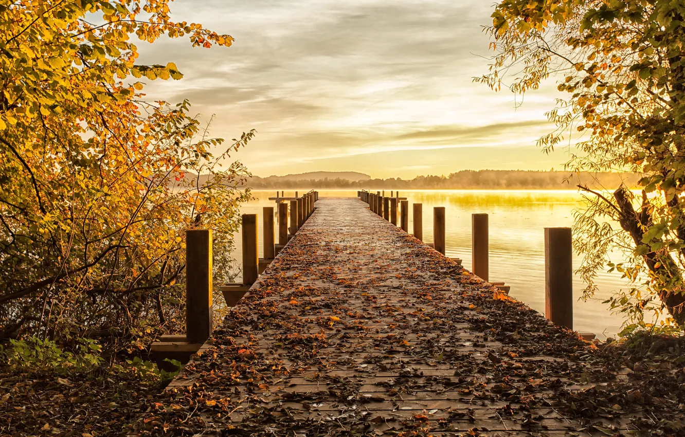 Photo wallpaper autumn, bridge, nature, lake