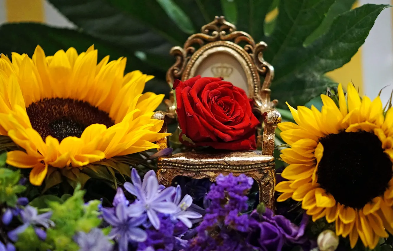 Photo wallpaper sunflowers, rose, Bud, the throne, the Queen of flowers