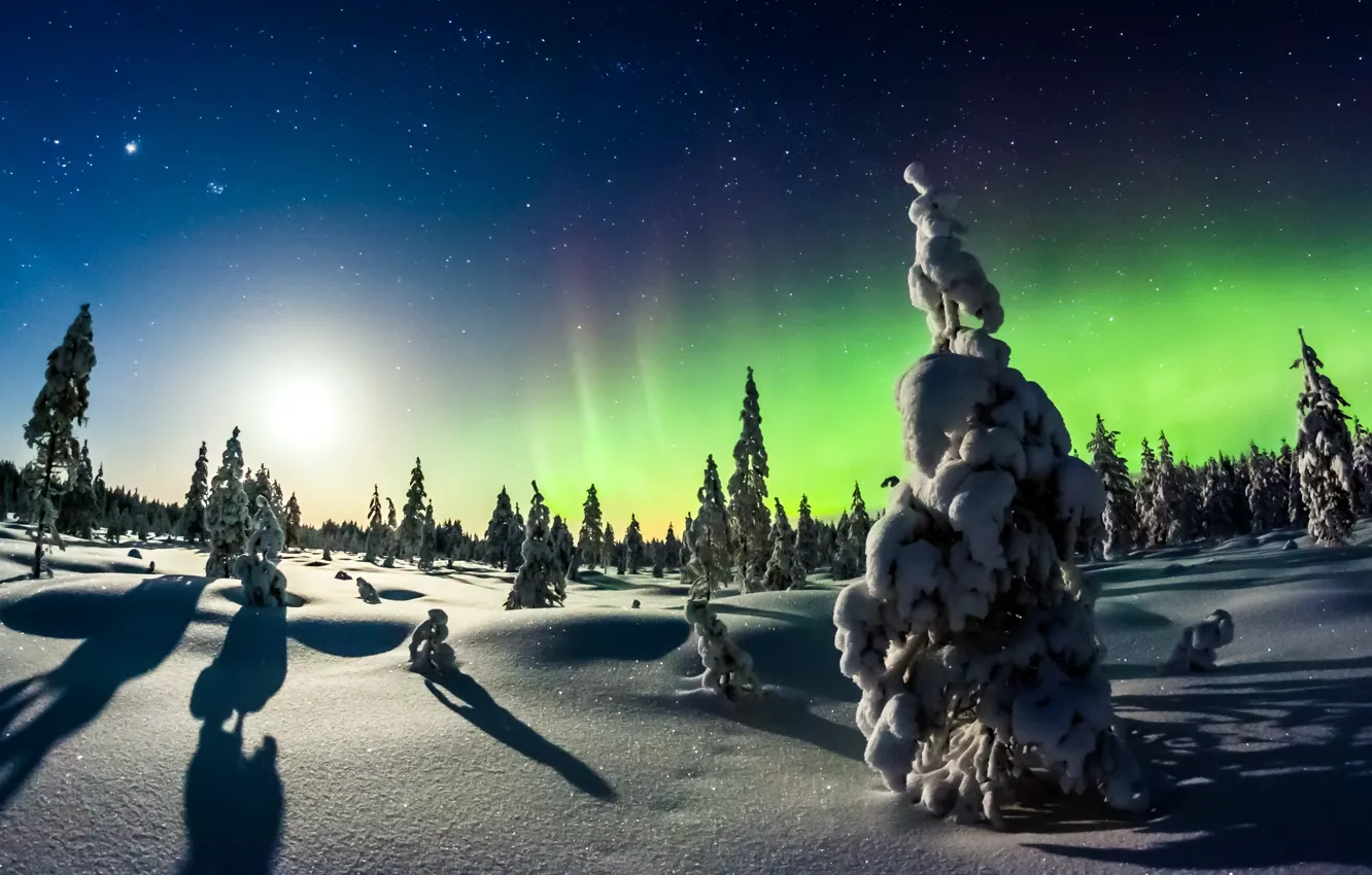 Photo wallpaper winter, forest, snow, nature, Northern lights