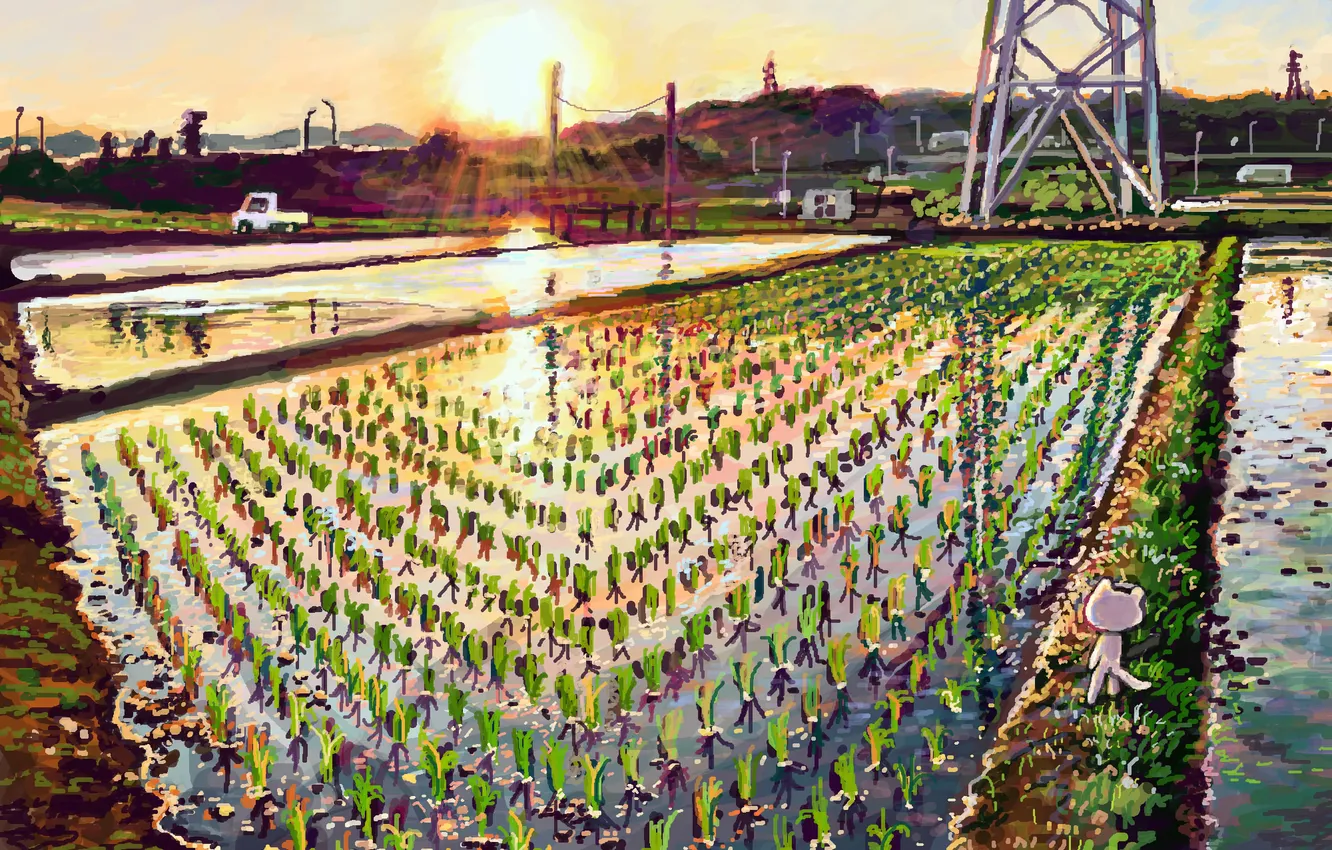 Photo wallpaper field, machine, cat, water, the sun, sunset, wire, art