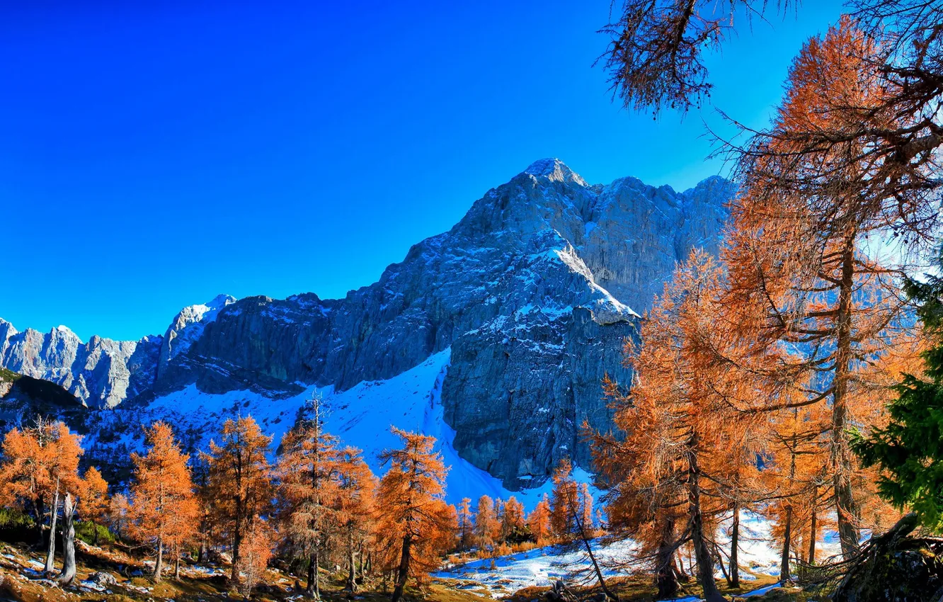 Photo wallpaper the sky, snow, trees, mountains, nature