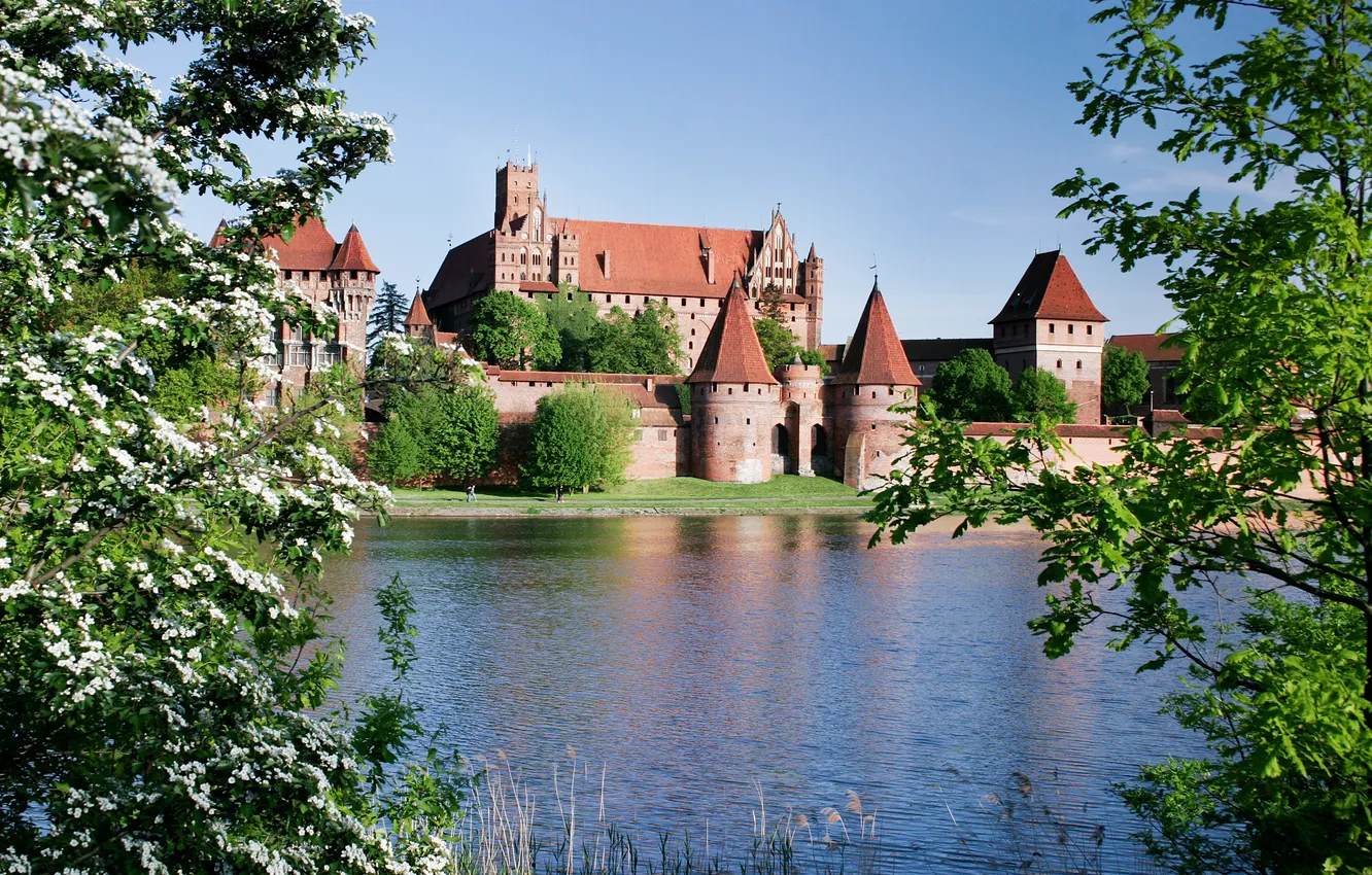 Photo wallpaper leaves, trees, flowers, the city, river, castle, spring, Poland