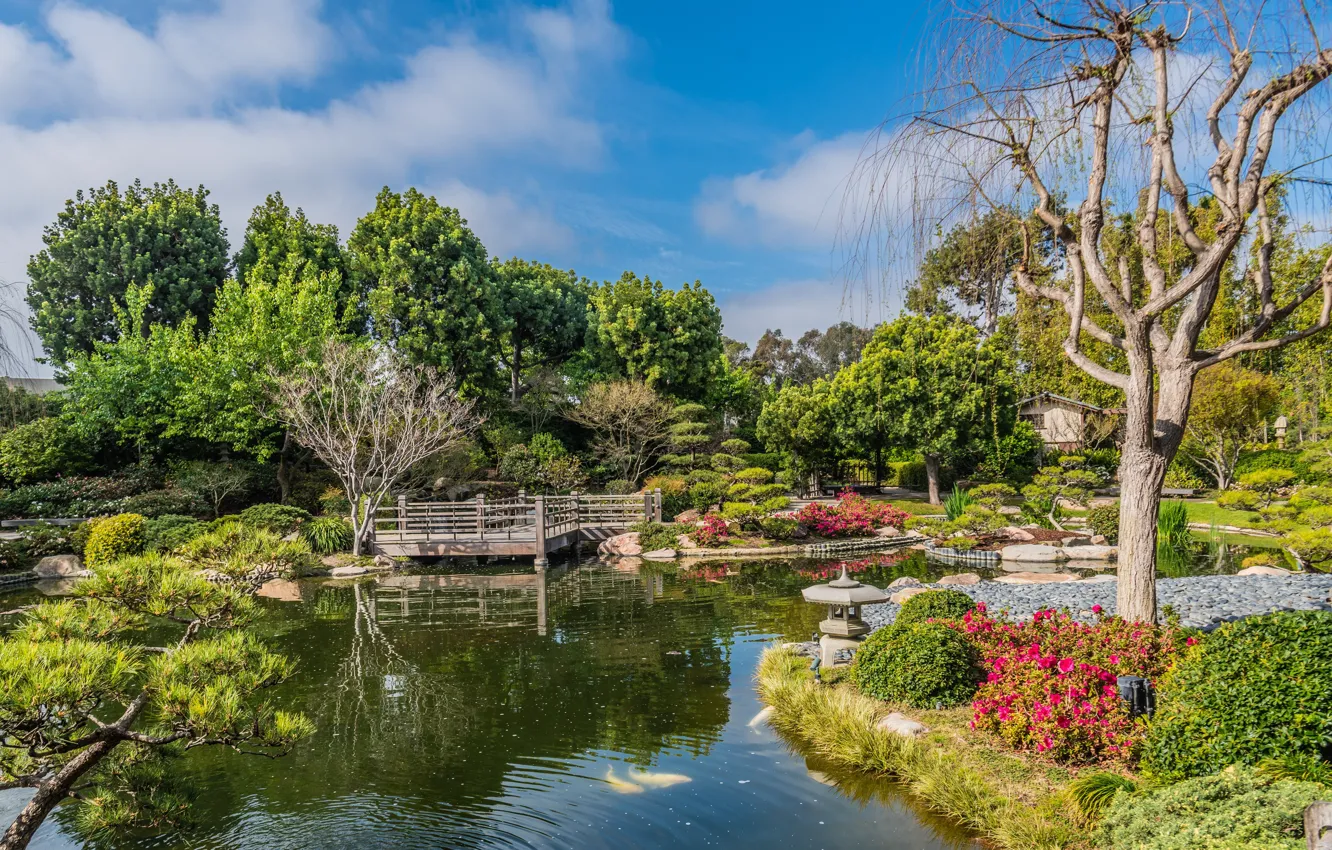 Photo wallpaper the sky, the sun, clouds, trees, flowers, pond, Park, stones
