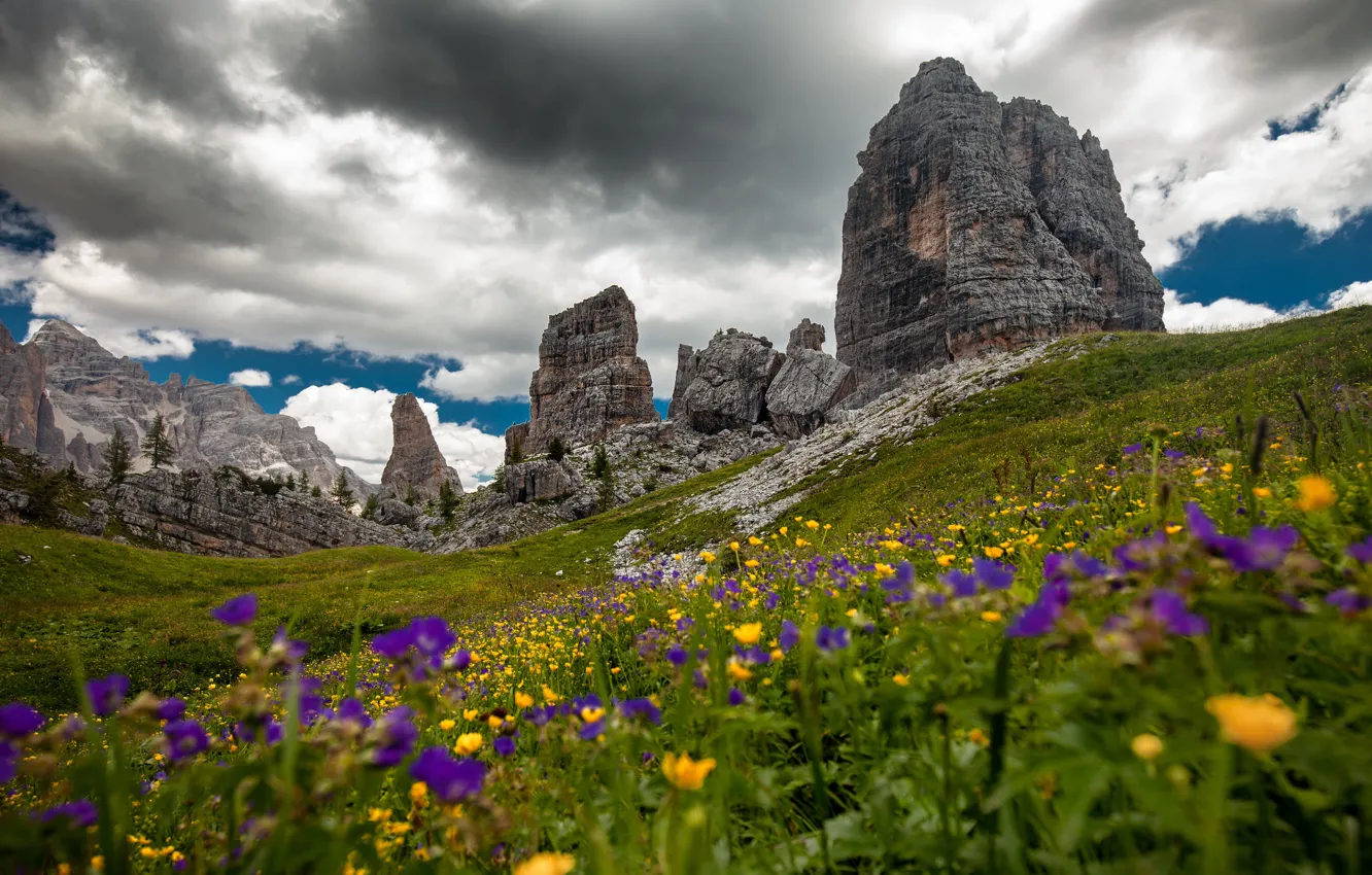 Photo wallpaper greens, summer, clouds, flowers, mountains, yellow, clouds, stones
