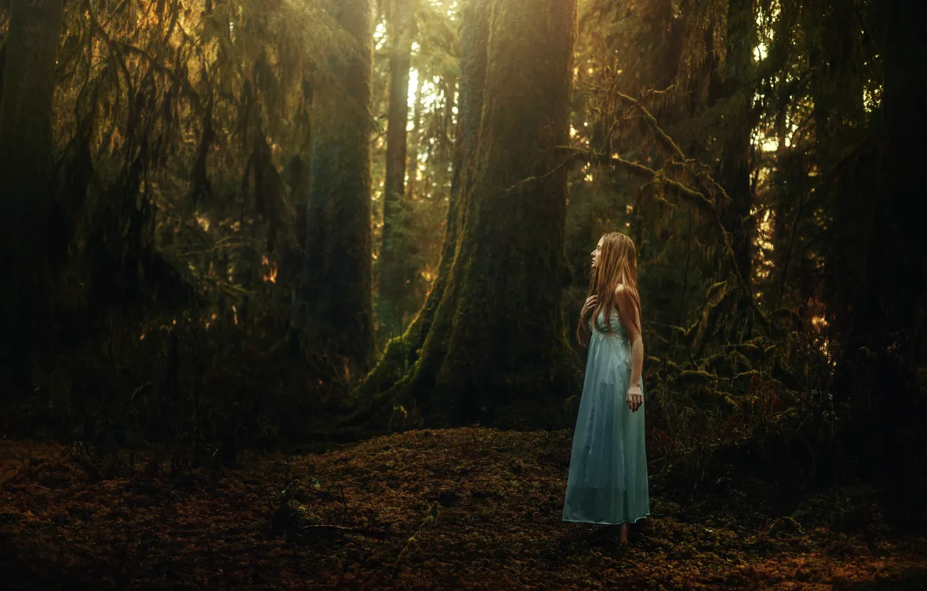 Photo wallpaper forest, girl, TJ Drysdale, Quiet Wander