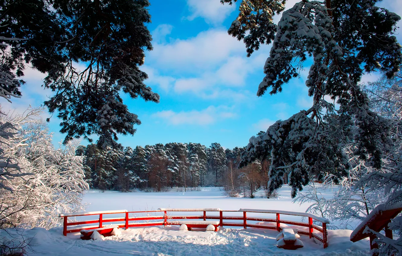 Photo wallpaper winter, the sky, the sun, snow, trees, branches, Park, benches