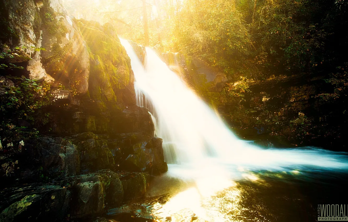 Photo wallpaper forest, the sun, waterfall, beauty, photographer, Aaron Woodall, glare