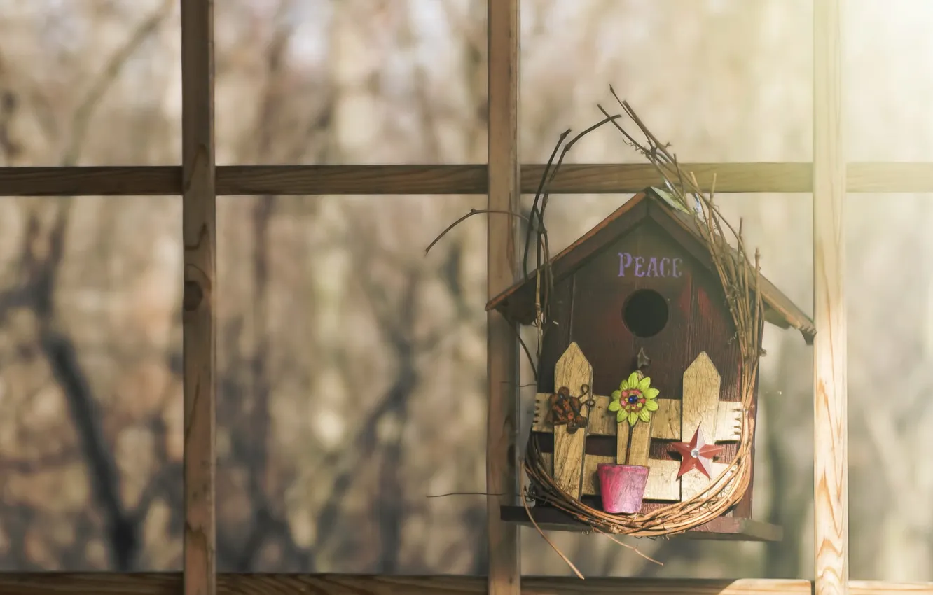 Photo wallpaper background, window, house