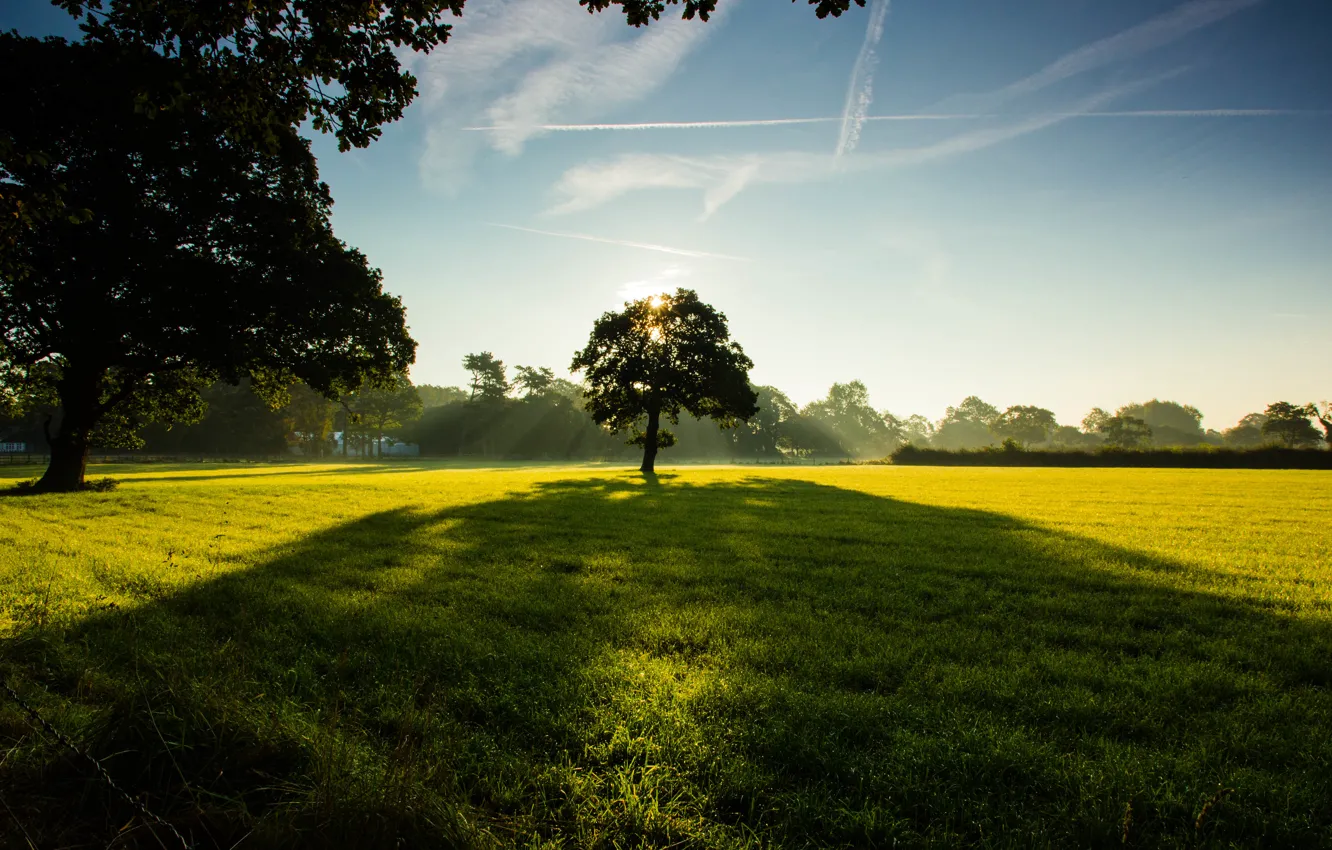 Photo wallpaper field, the sky, grass, clouds, trees, green, Park, lawn