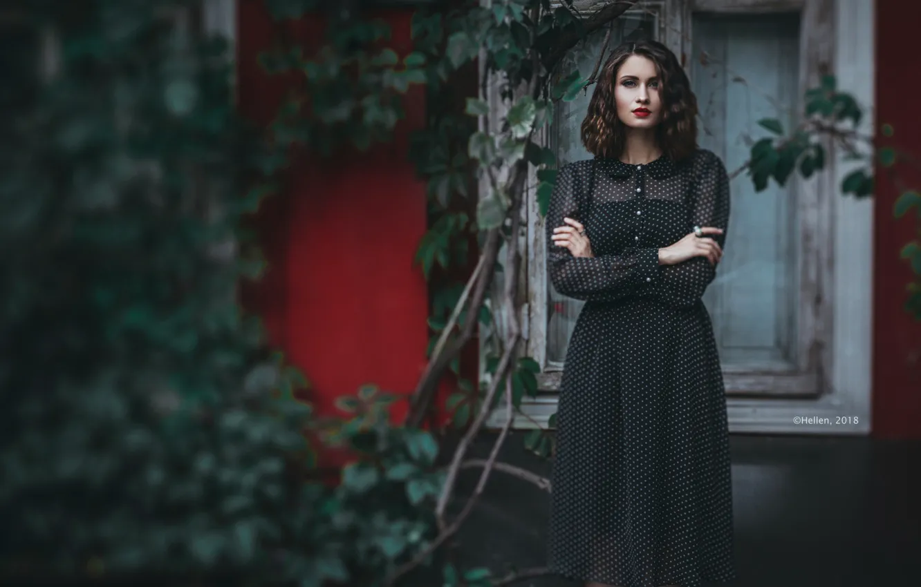 Photo wallpaper look, girl, pose, dress, hairstyle, shoulders, Daria Melnichenko, Hellen Photographer