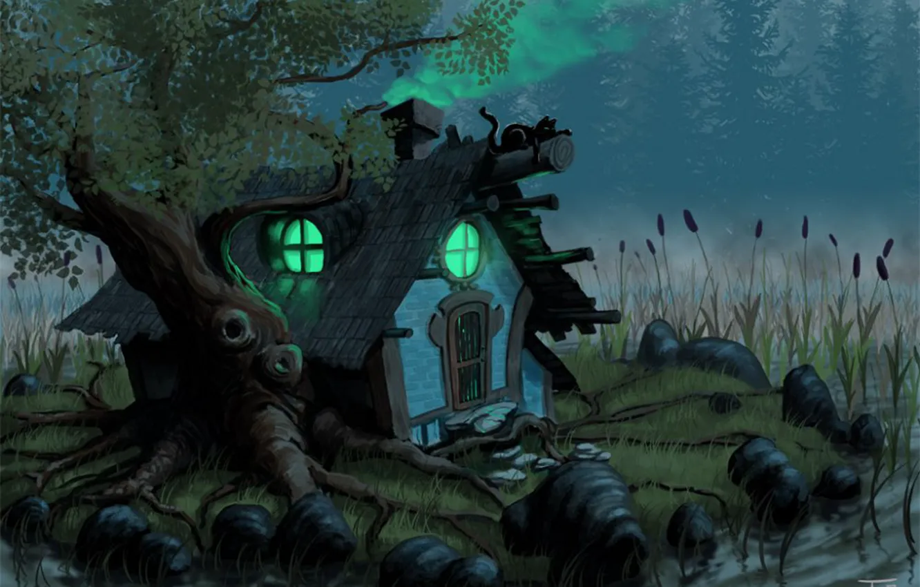 Photo wallpaper grass, cat, trees, river, stones, hut, home, reed