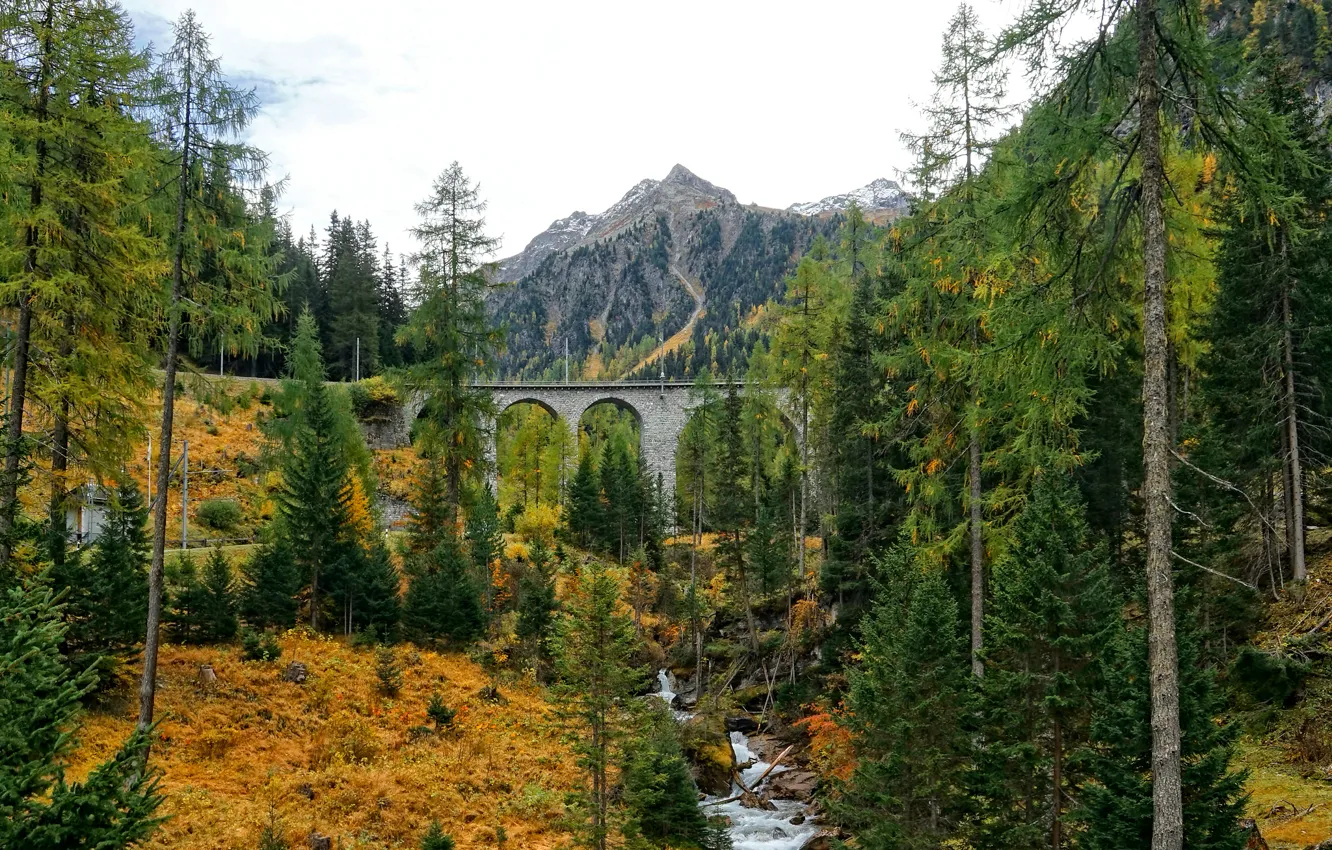 Photo wallpaper autumn, forest, mountains, bridge, river, slope, arch