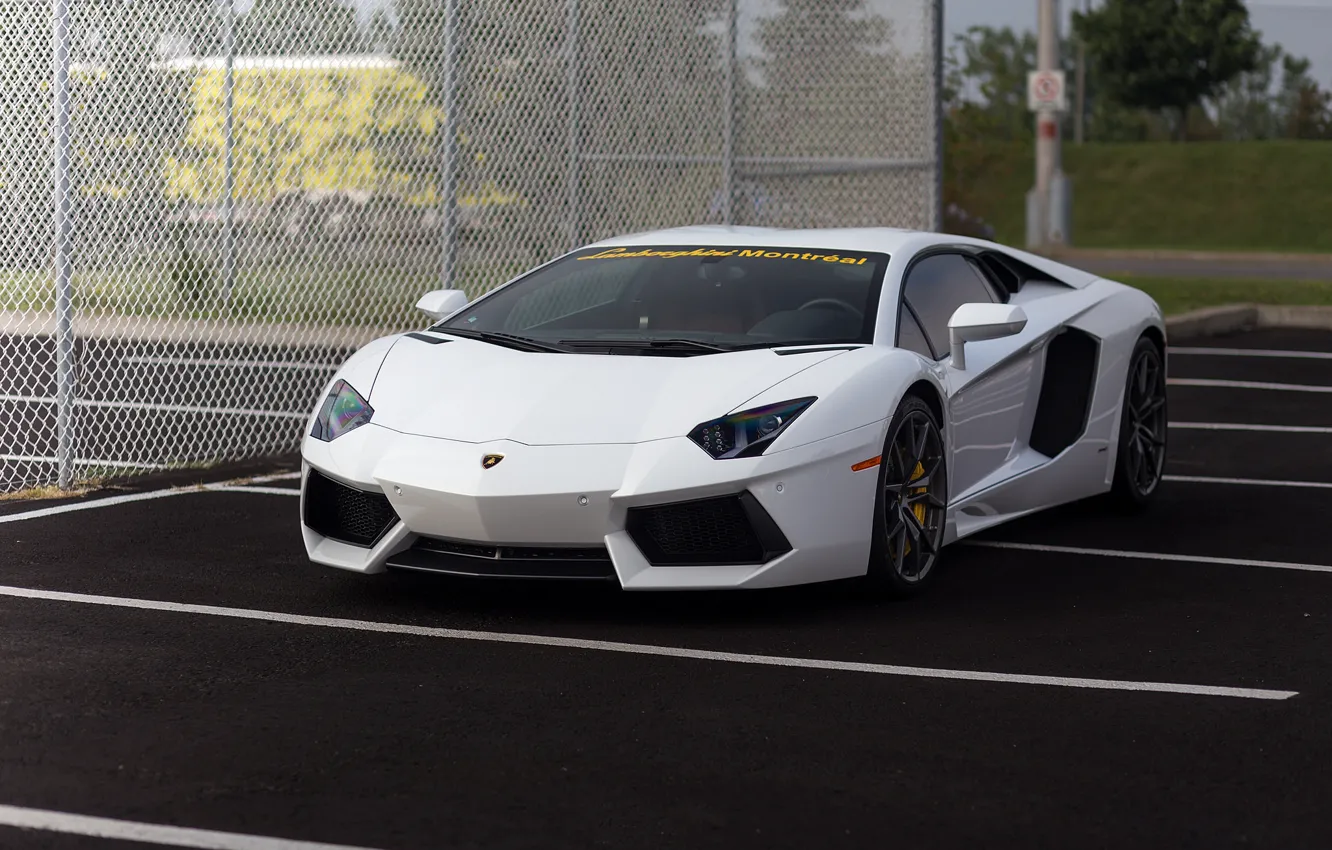 Photo wallpaper white, lamborghini, parking, aventador