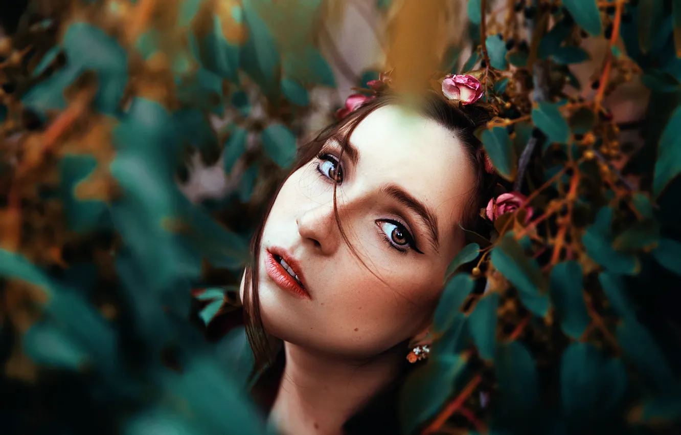 Photo wallpaper makeup, sponge, Ronny Garcia