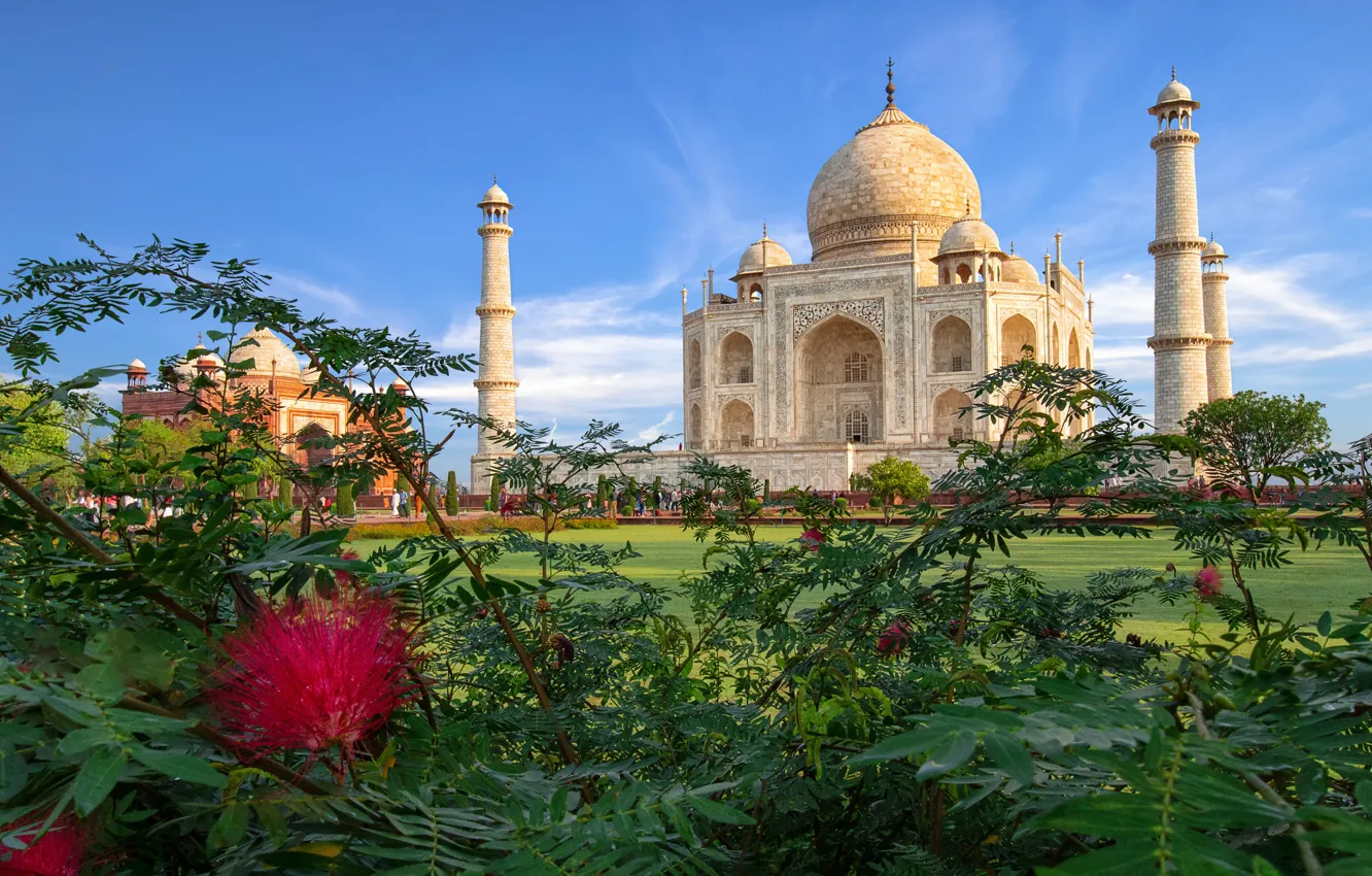 Photo wallpaper India, Taj Mahal, mosque, architecture, the bushes, the mausoleum, Agra, Taj Mahal
